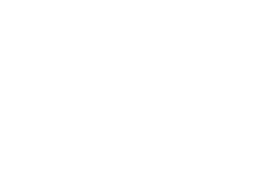 Bioarctic logo